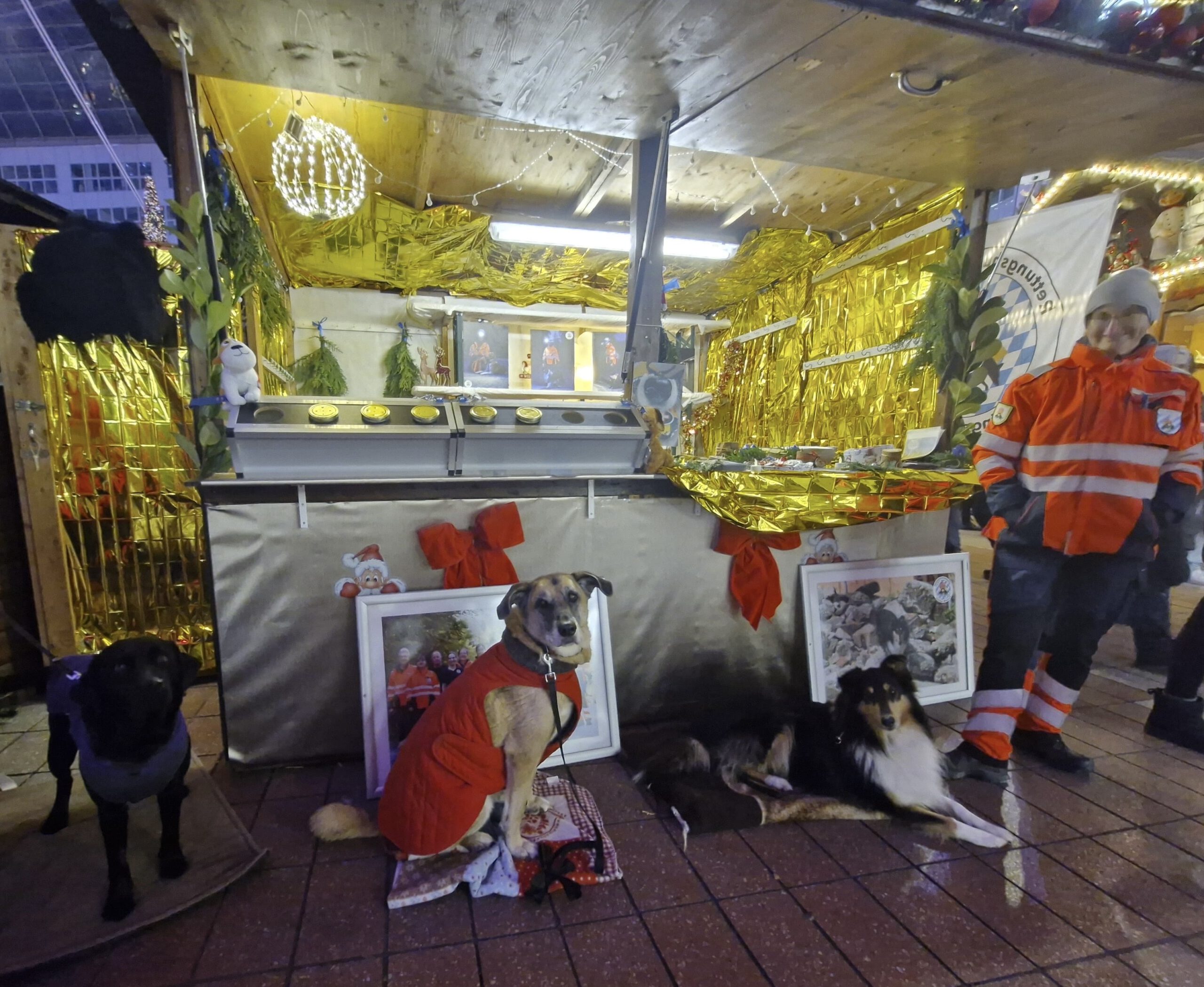 3847B713-E901-4C2F-9C28-850D29DC9186