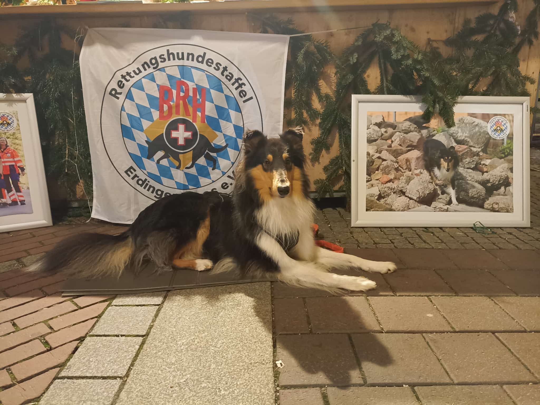 PHOTO-2025-12-10-18-29-04