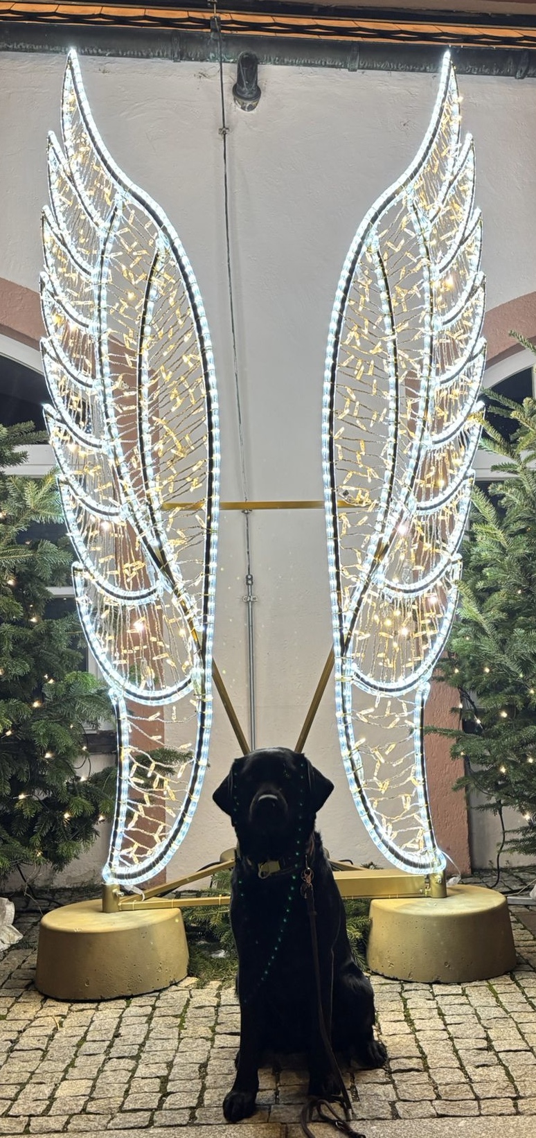 PHOTO-2025-12-11-10-22-19